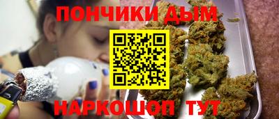 шишки Камышлов