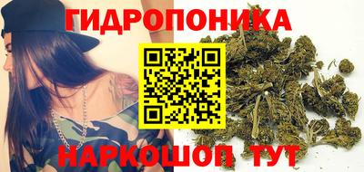 шишки Камышлов