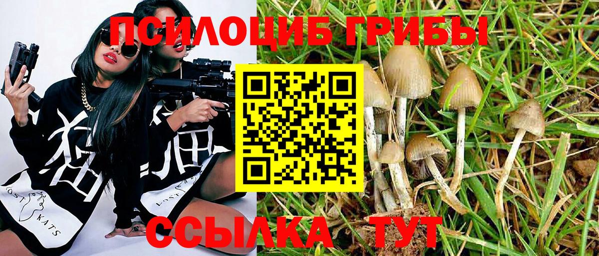 Псилоцибиновые грибы MAGIC MUSHROOMS  Вход с VPN  Красноуфимск 